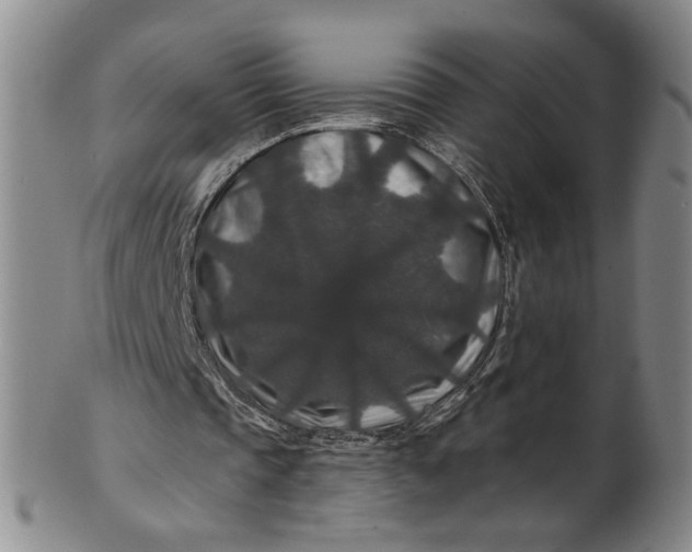 X0000100750337200807101708