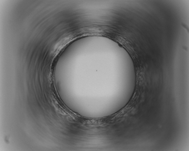 X0000100750338200807101709