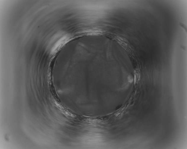 X0000100750339200807101709