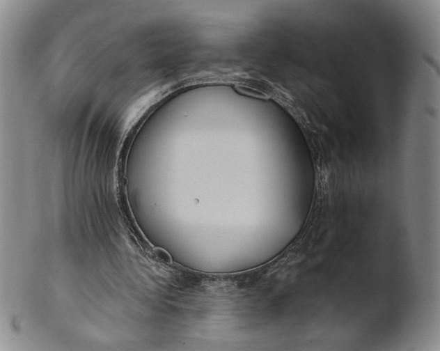 X0000100750340200807101709