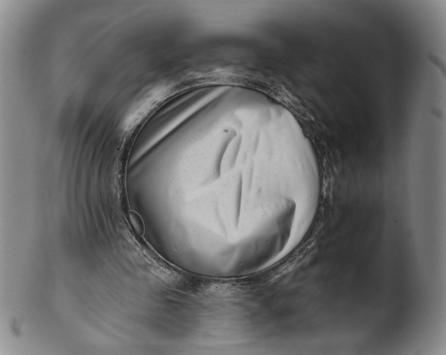 X0000100750341200807101709