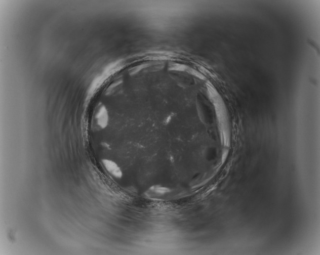 X0000100750343200807101709