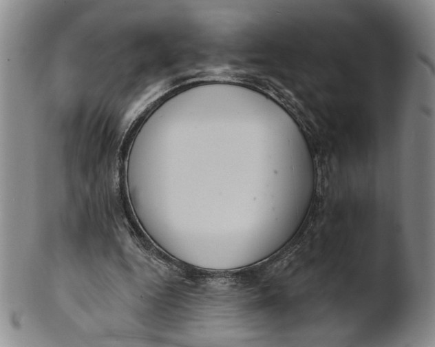 X0000100750344200807101709