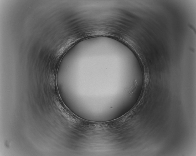 X0000100750345200807101709