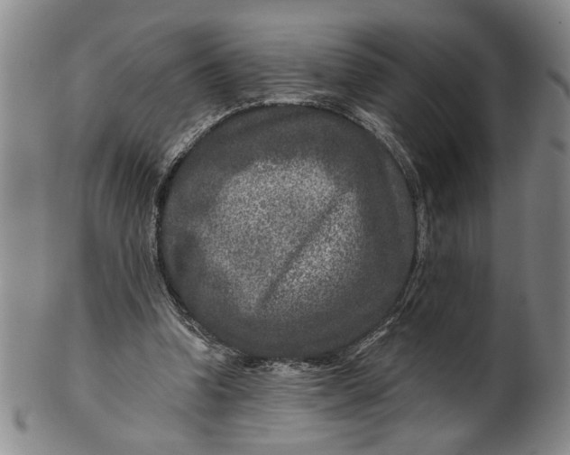 X0000100750346200807101709