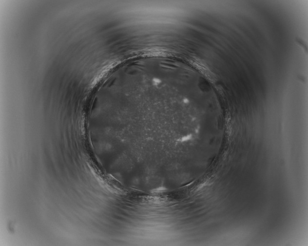 X0000100750347200807101709