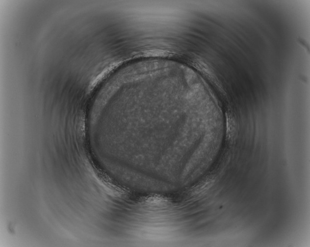 X0000100750348200807101709