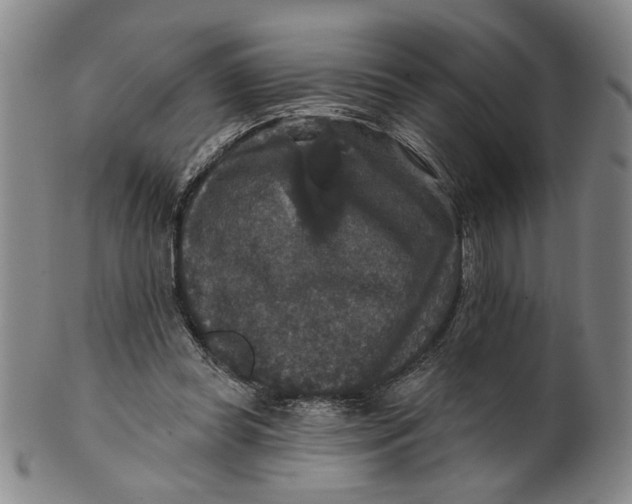 X0000100750349200807101709