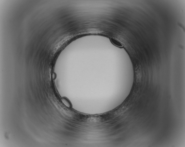 X0000100750350200807101709