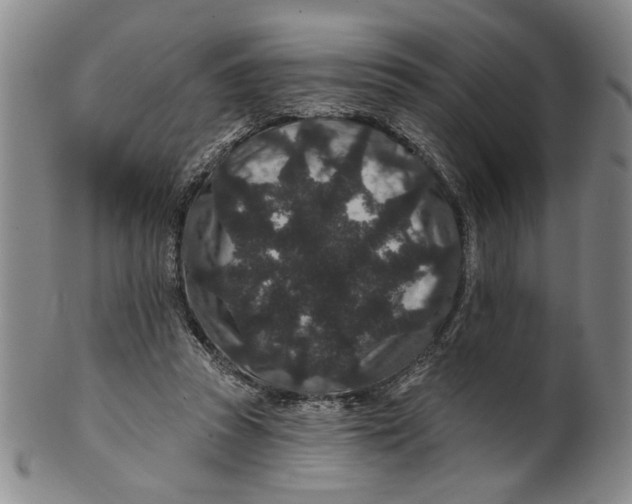 X0000100750353200807101709