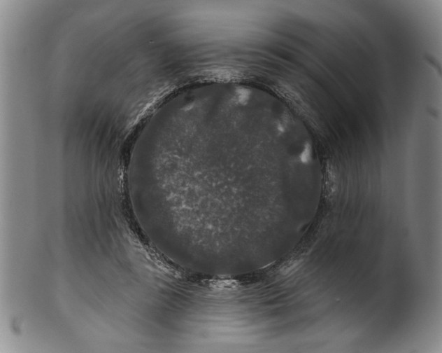 X0000100750355200807101709