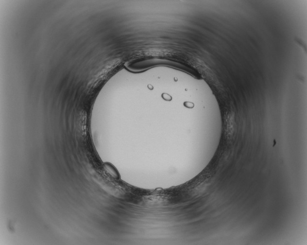 X0000100750356200807101709