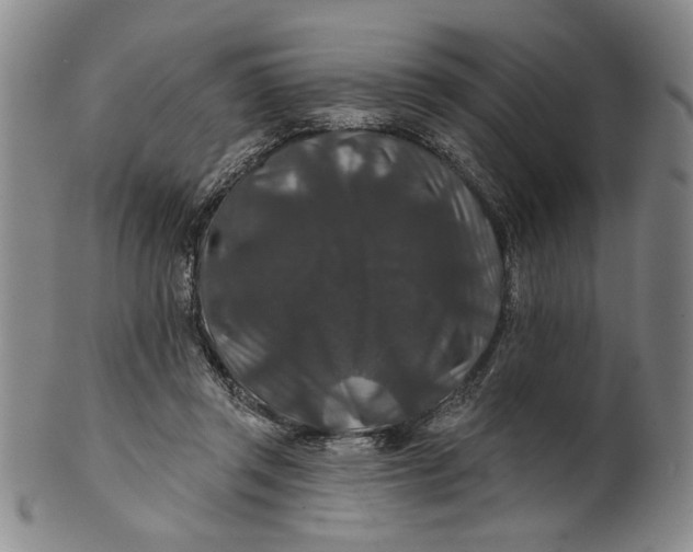 X0000100750357200807101709