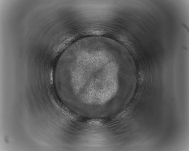 X0000100750358200807101709