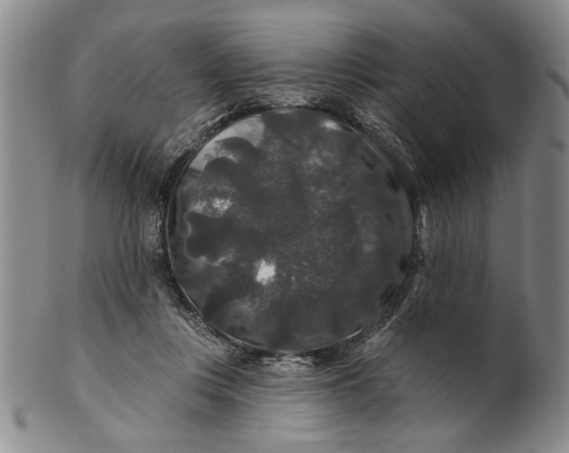 X0000100750359200807101709