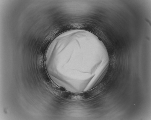 X0000100750360200807101709