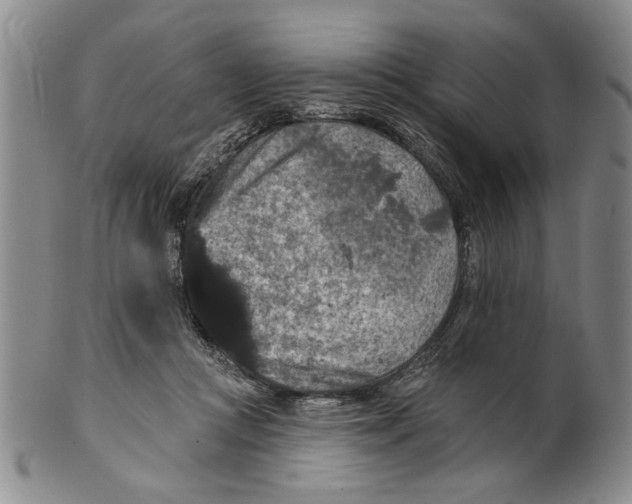 X0000100750361200807101709