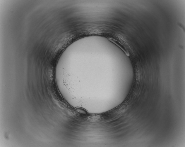 X0000100750362200807101709