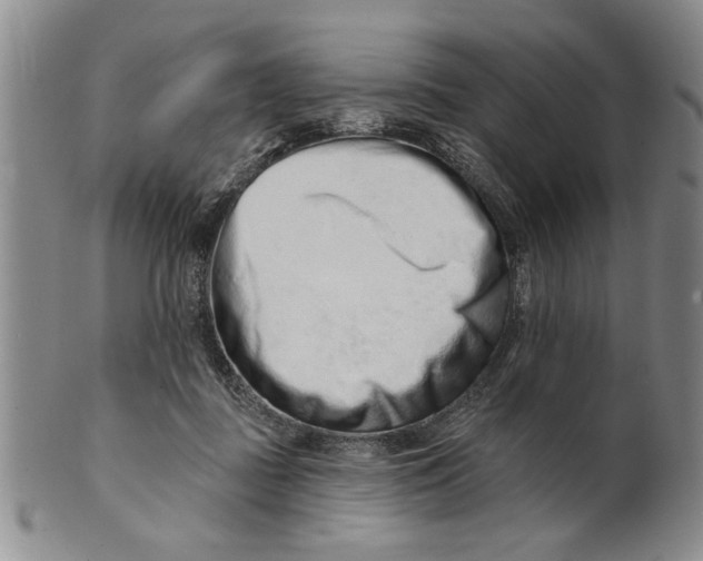 X0000100750363200807101709