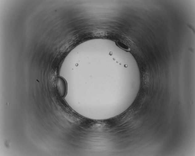 X0000100750364200807101709