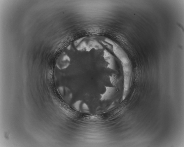 X0000100750365200807101709