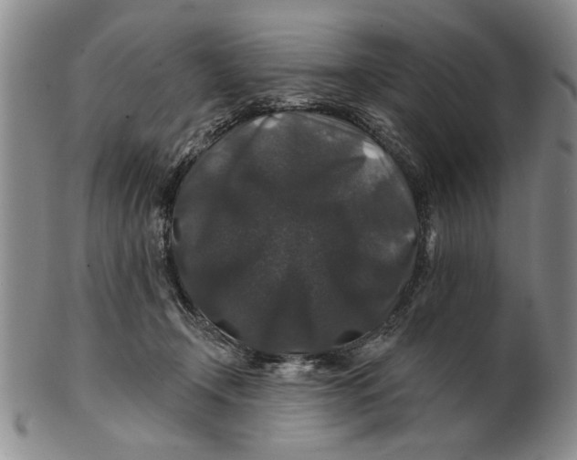 X0000100750366200807101709