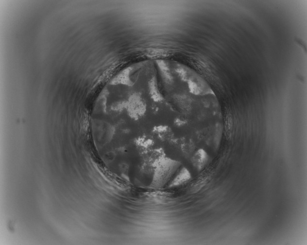 X0000100750367200807101709