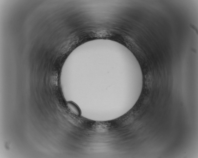 X0000100750368200807101709