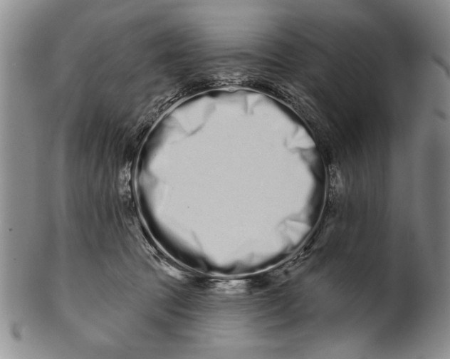 X0000100750369200807101709