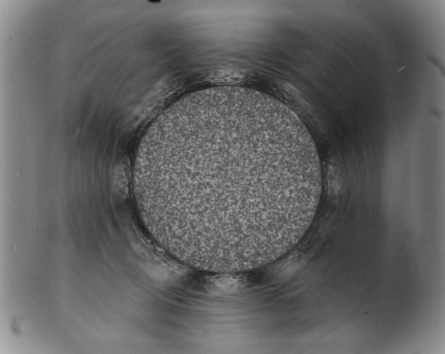 X0000100750370200807101709