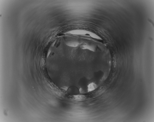 X0000100750371200807101709