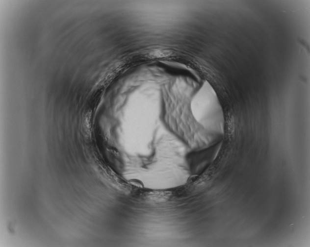 X0000100750373200807101709