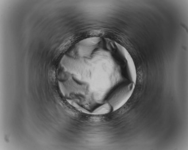 X0000100750375200807101709