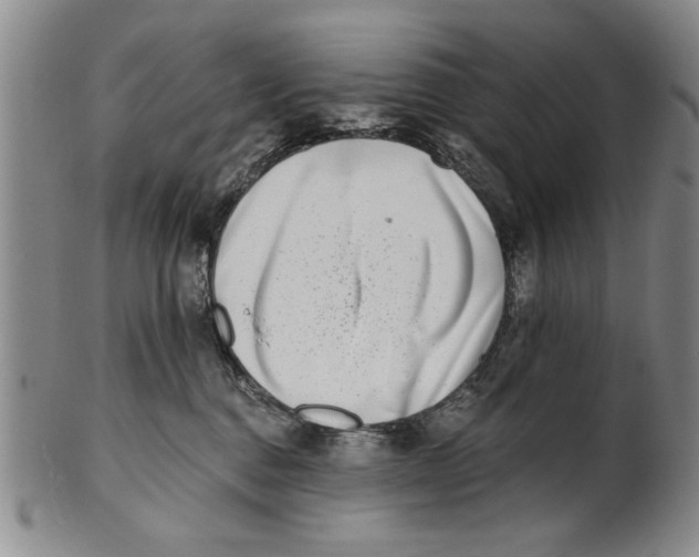 X0000100750376200807101709