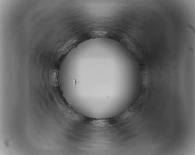 X0000100750378200807101709