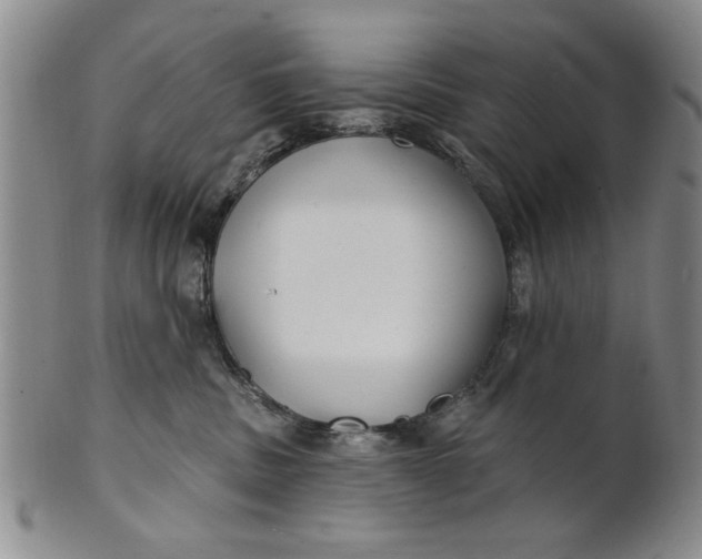 X0000100750379200807101709