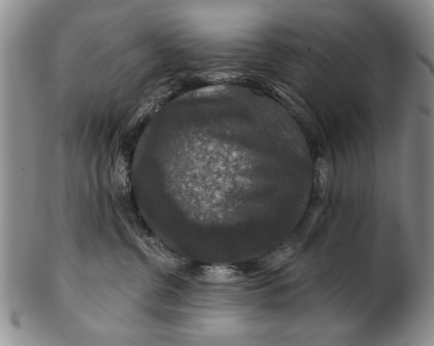 X0000100750380200807101709