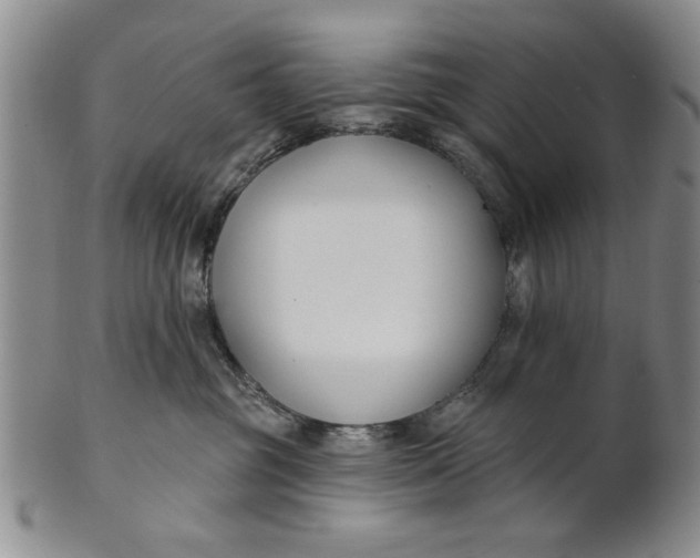 X0000100750381200807101709