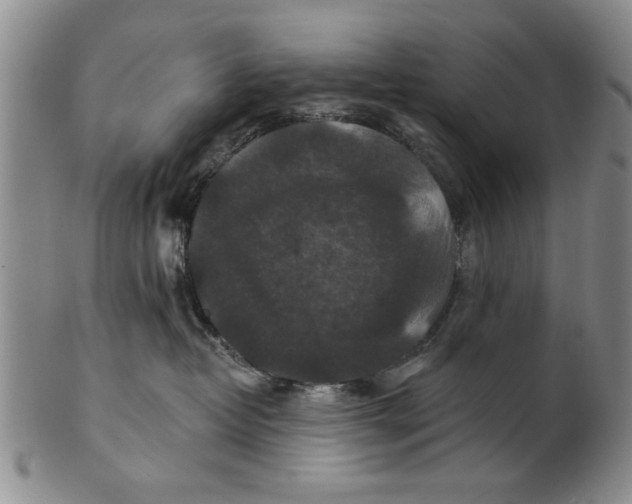 X0000100750382200807101709