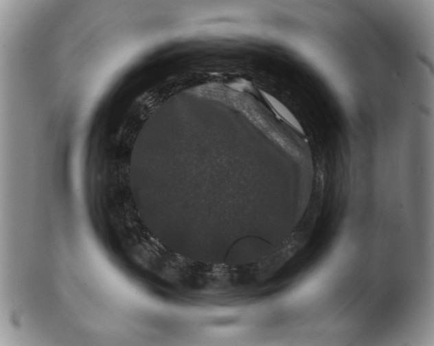 X0000100750383200807101709