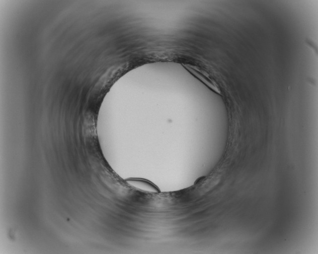 X0000100750384200807101709