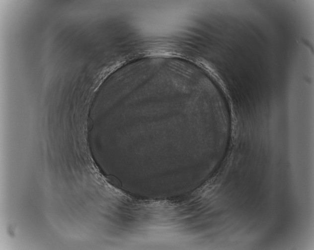 X0000100750385200807101708