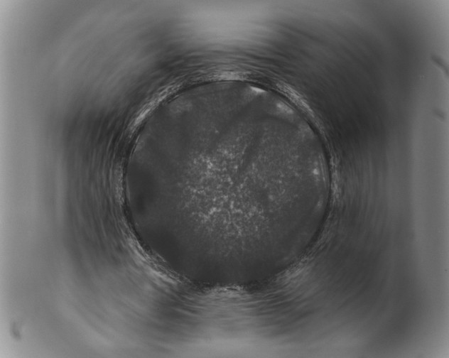 X0000100750386200807101708