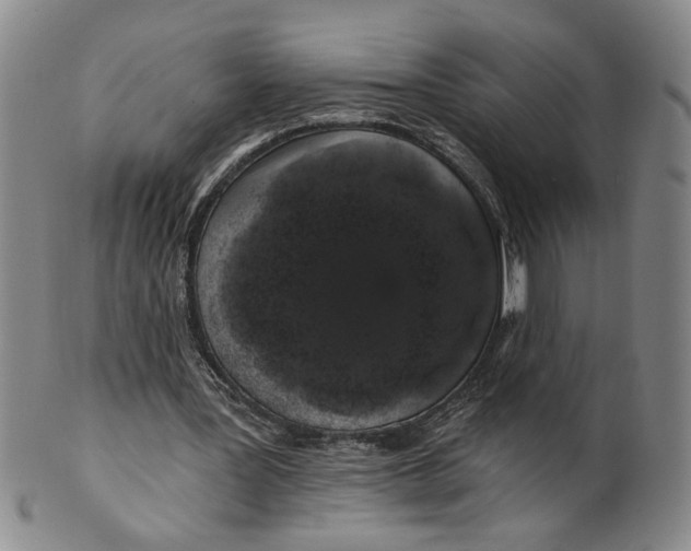 X0000100750387200807101708