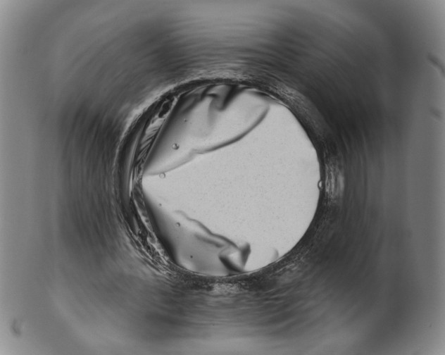 X0000100750388200807101708