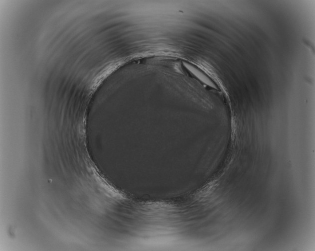 X0000100750389200807101708