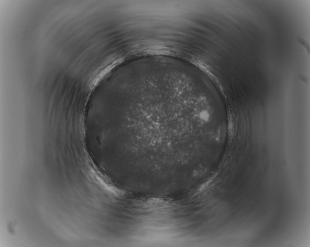 X0000100750390200807101708