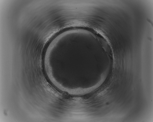 X0000100750391200807101708