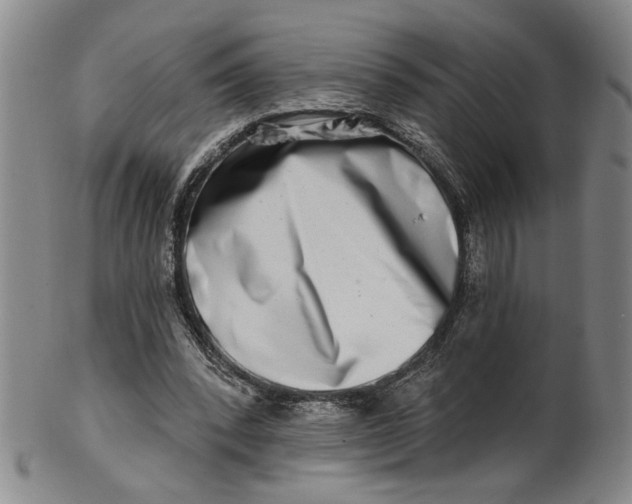 X0000100750392200807101708