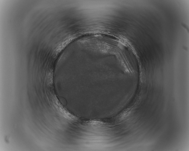 X0000100750393200807101708